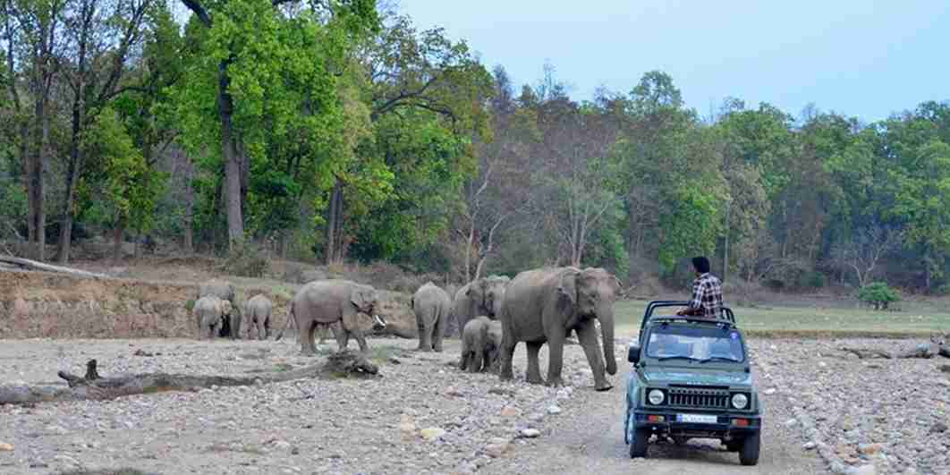 Rajaji National Park